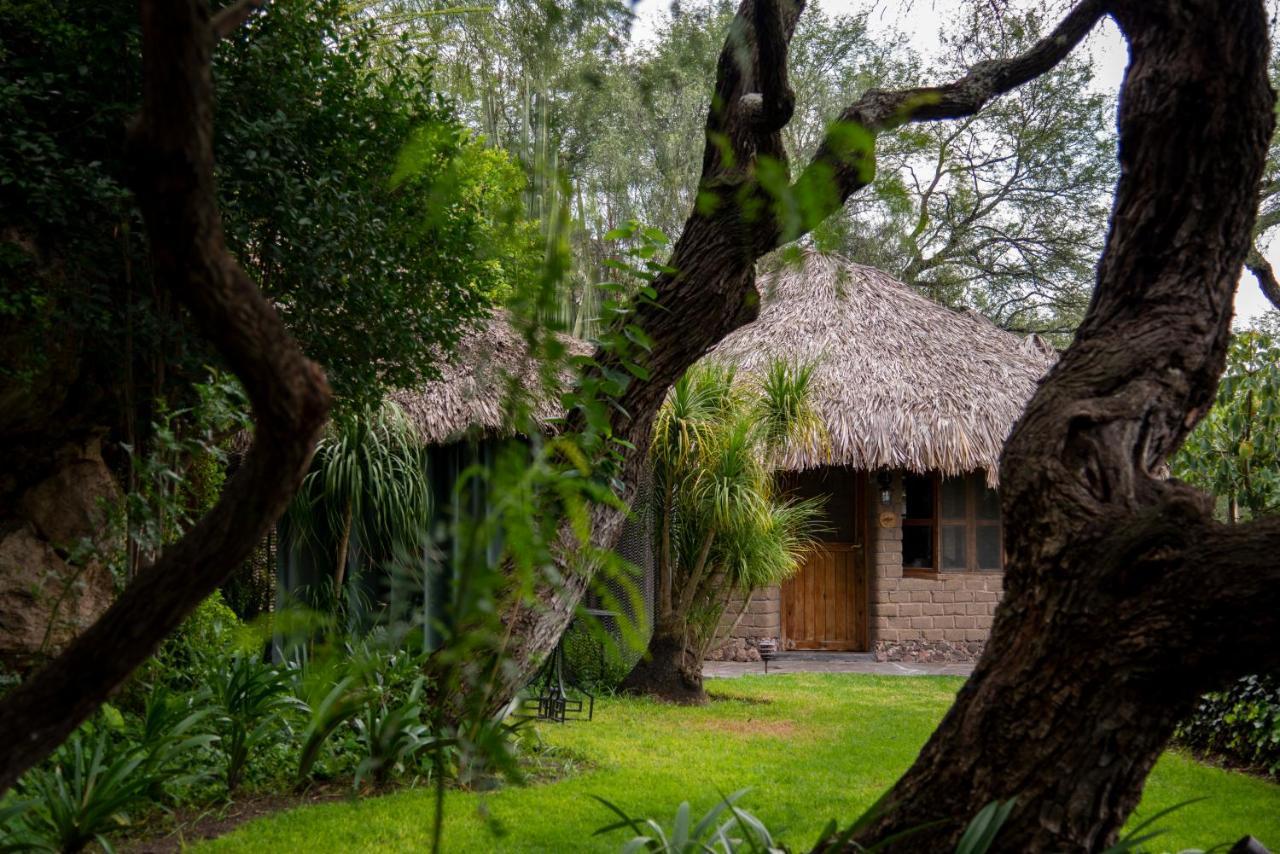 Atotonilco  Nirvana Restaurant & Retreat מראה חיצוני תמונה